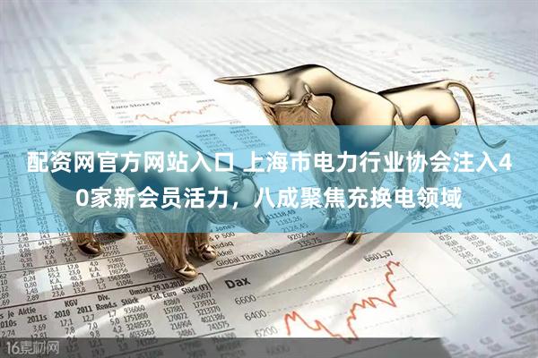 配资网官方网站入口 上海市电力行业协会注入40家新会员活力，八成聚焦充换电领域