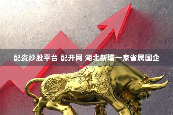 配资炒股平台 配开网 湖北新增一家省属国企