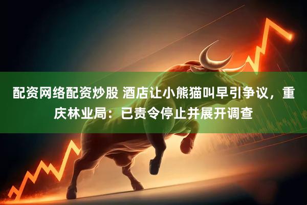 配资网络配资炒股 酒店让小熊猫叫早引争议,重庆林业局:已责令停止并展开调查