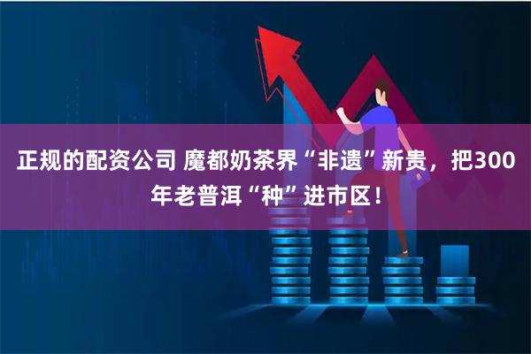 正规的配资公司 魔都奶茶界“非遗”新贵，把300年老普洱“种”进市区！